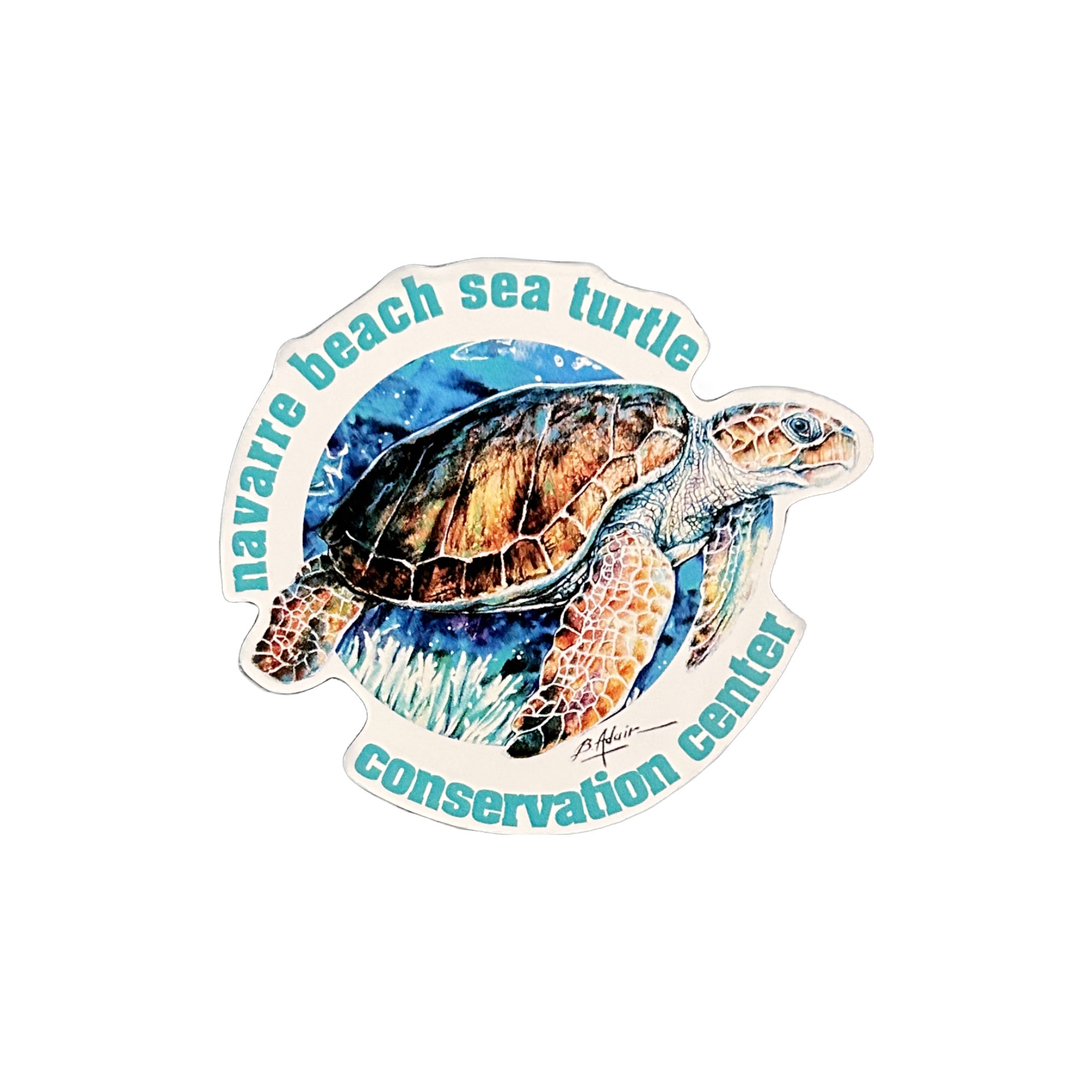 Nbstcc car magnet navarre beach sea turtle conservation center