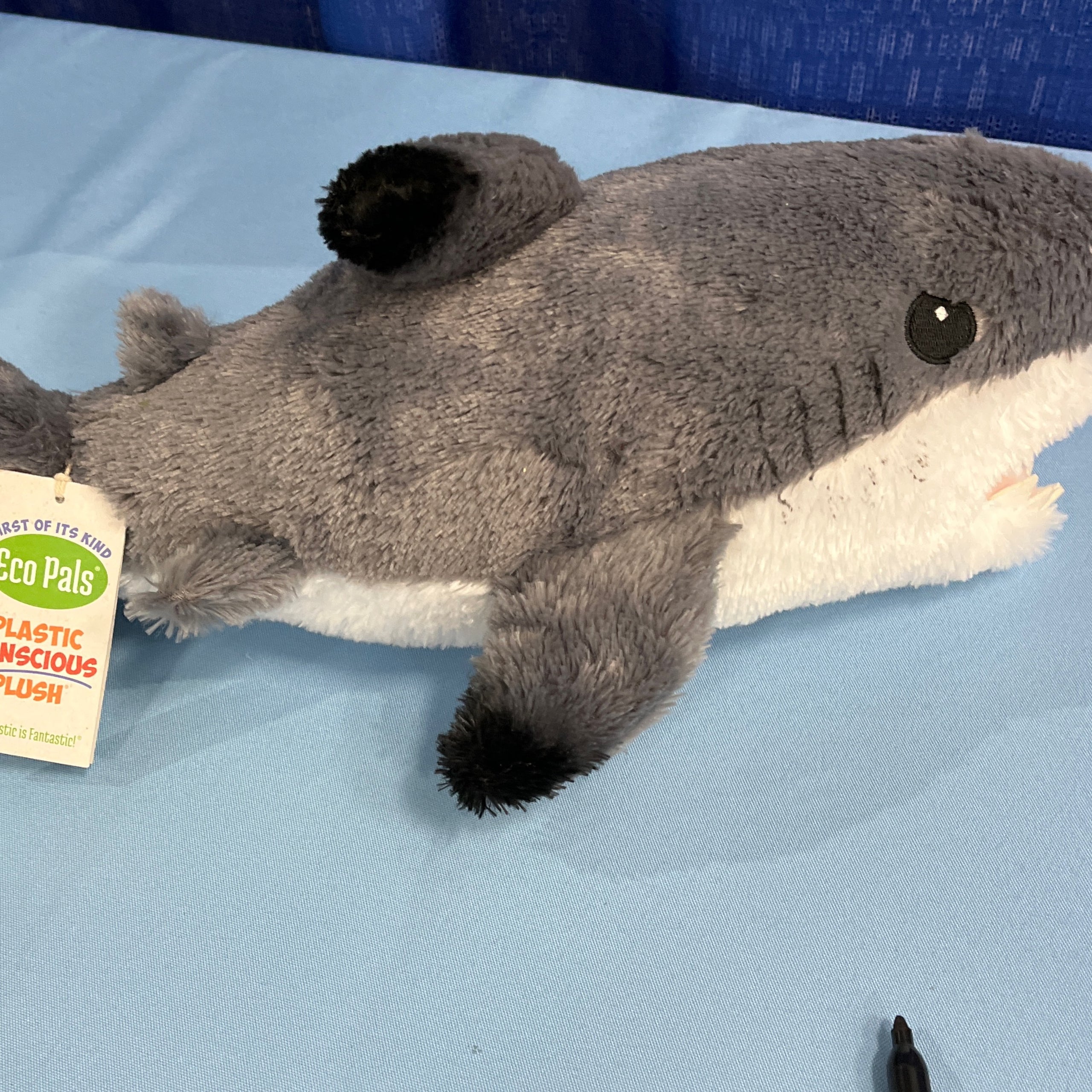 Blacktip shark ecoplush navarre beach sea turtle conservation center