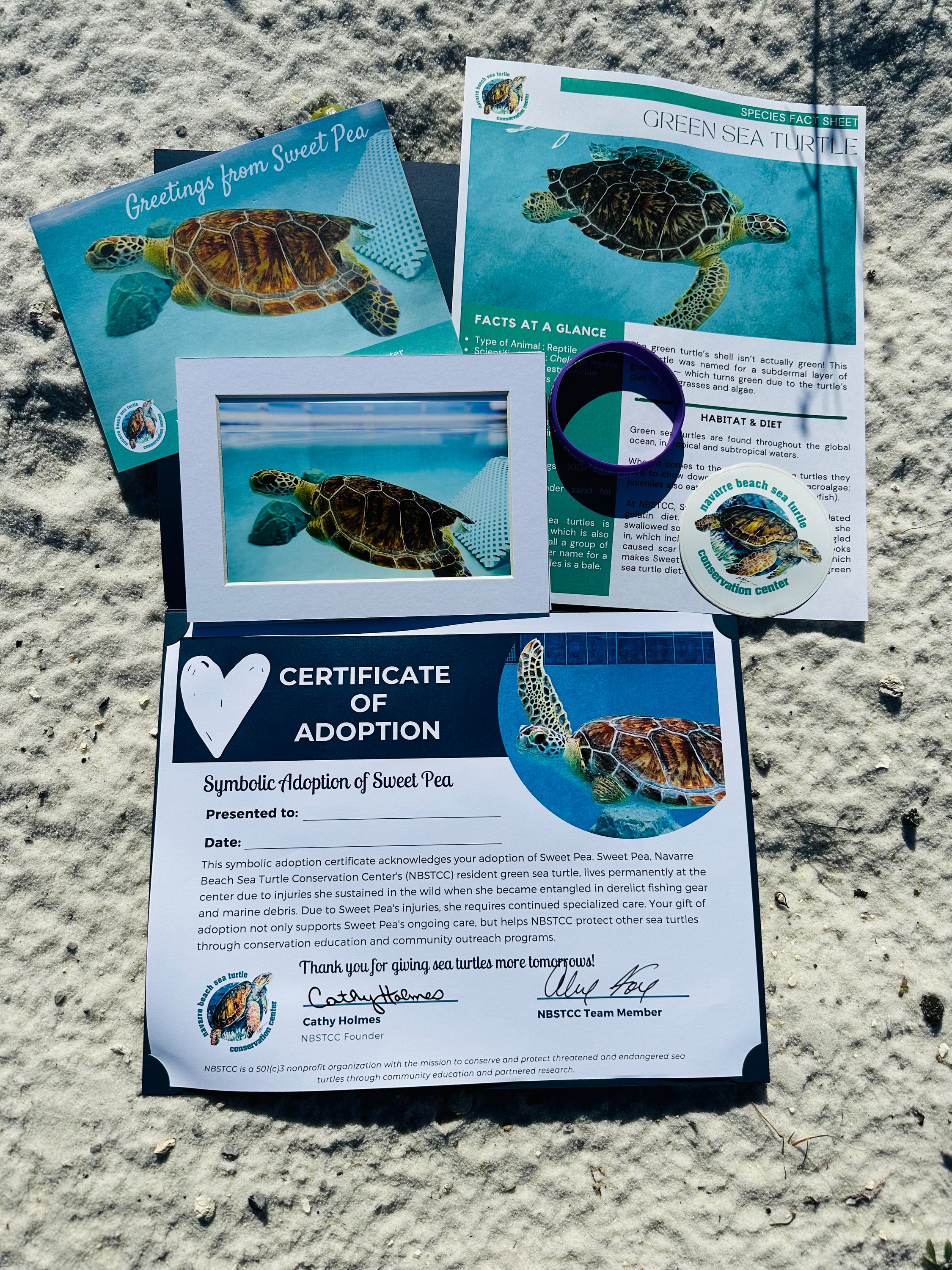 NBSTCC Sweet Pea Symbolic Adoption Package | Navarre Beach Sea Turtle ...