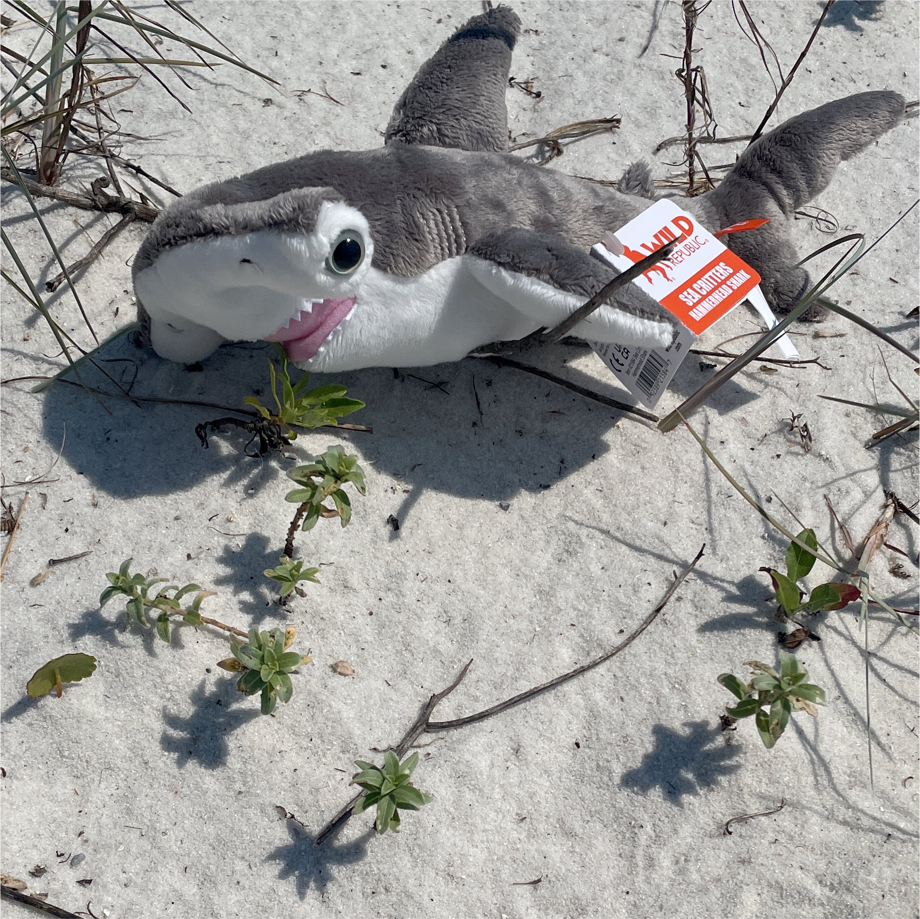 Hammerhead shark small plush navarre beach sea turtle conservation center